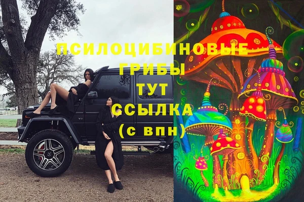 меф Арсеньев