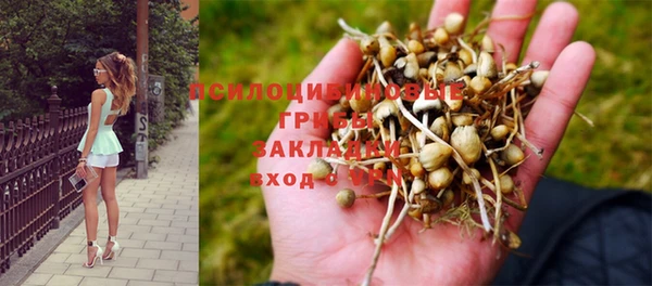 меф Арсеньев