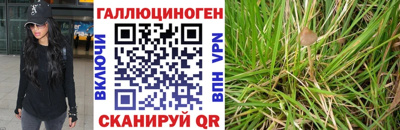 Псилоцибиновые грибы MAGIC MUSHROOMS мориарти Telegram Сольцы