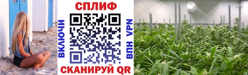 закладки  Сольцы  Бошки Шишки SATIVA & INDICA 